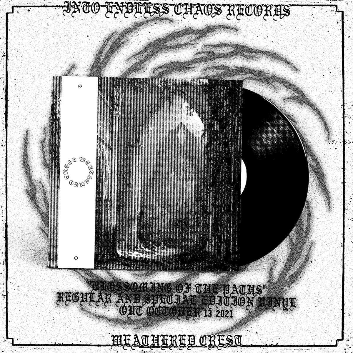 Weathered Crest & Forgotten Shrines Vinyls delayed!!!