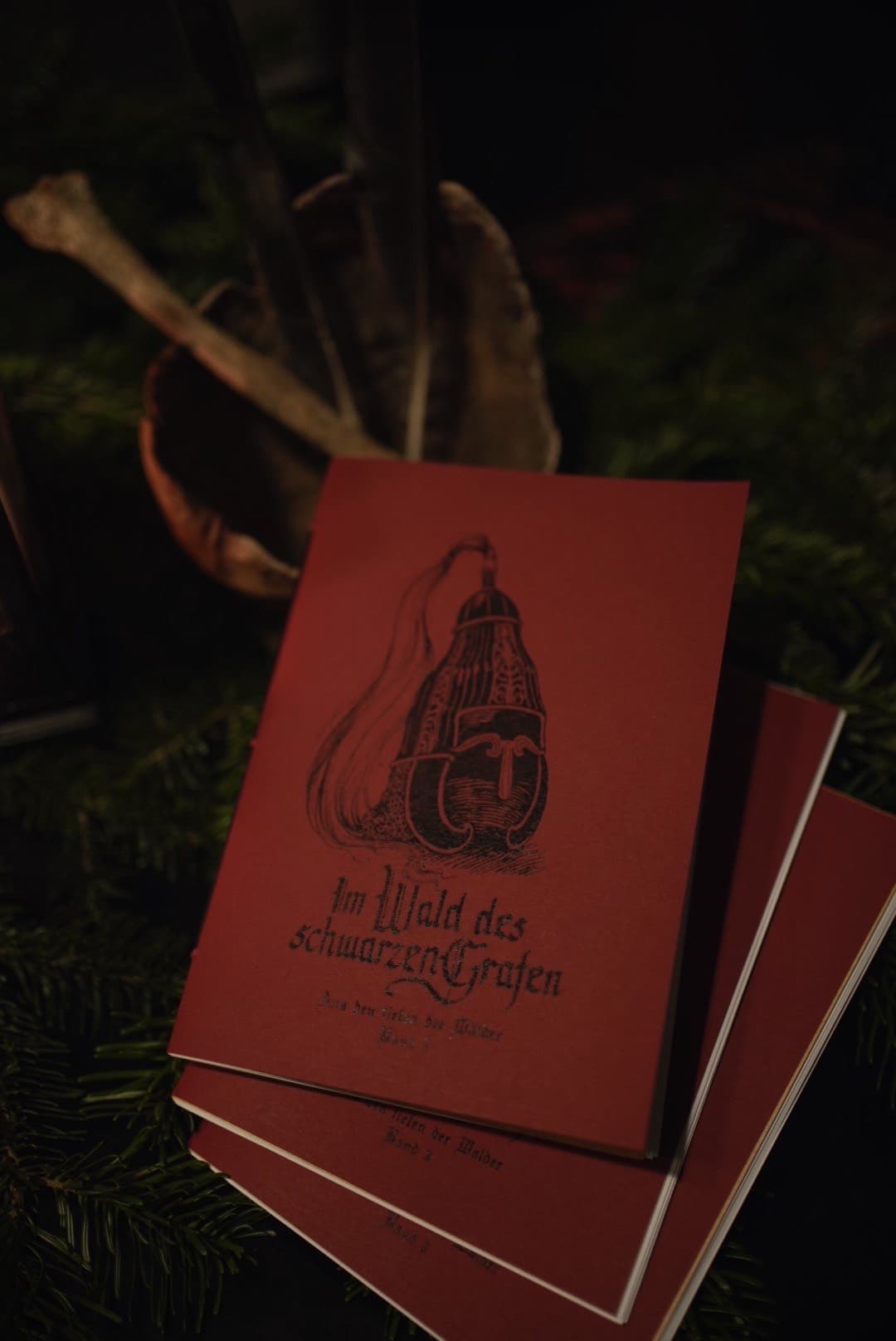 Aus den Tiefen der Wälder - Im Wald des Schwarzen Grafen (Zine)