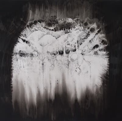 Flail - Dying Embers To Coldening Coals CD